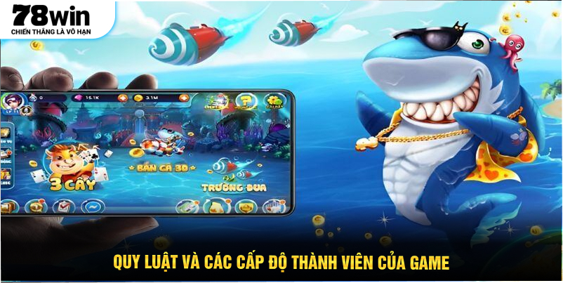 Quy luật và các cấp độ thành viên của game